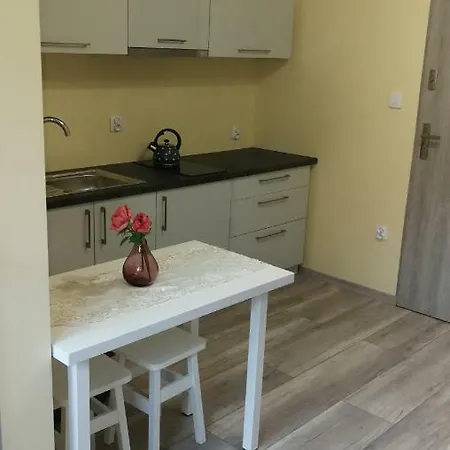 Nad Strumykiem 1 民宿