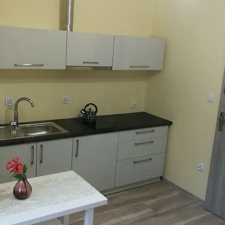 Nad Strumykiem 1 منزل للإقامة *